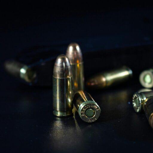 22lr.us.com